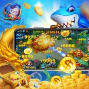 online sport betting