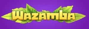 Logo blaze